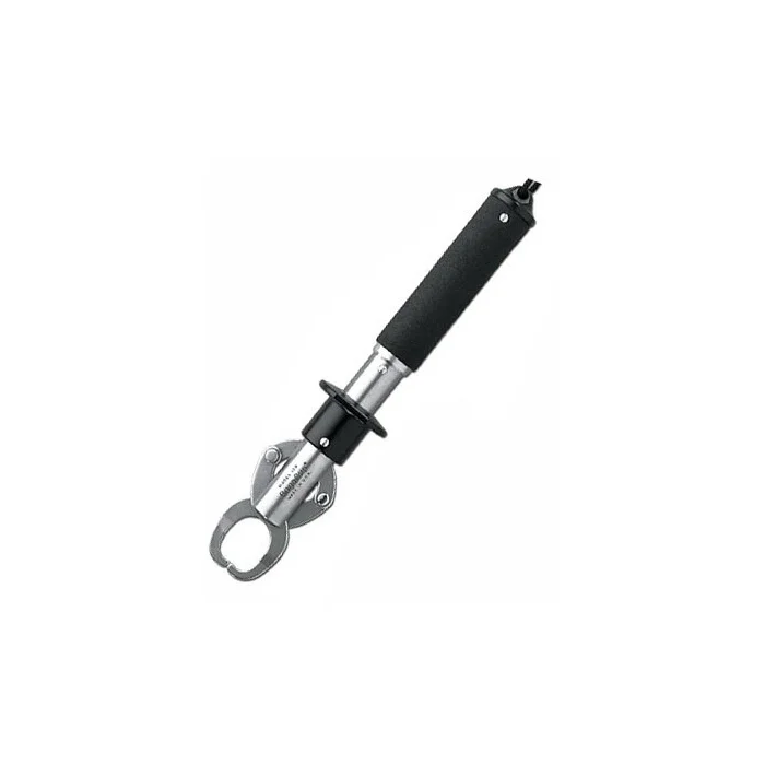 taimen-750923