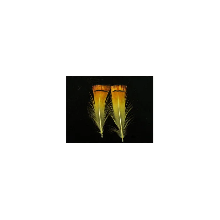 taimen-750940