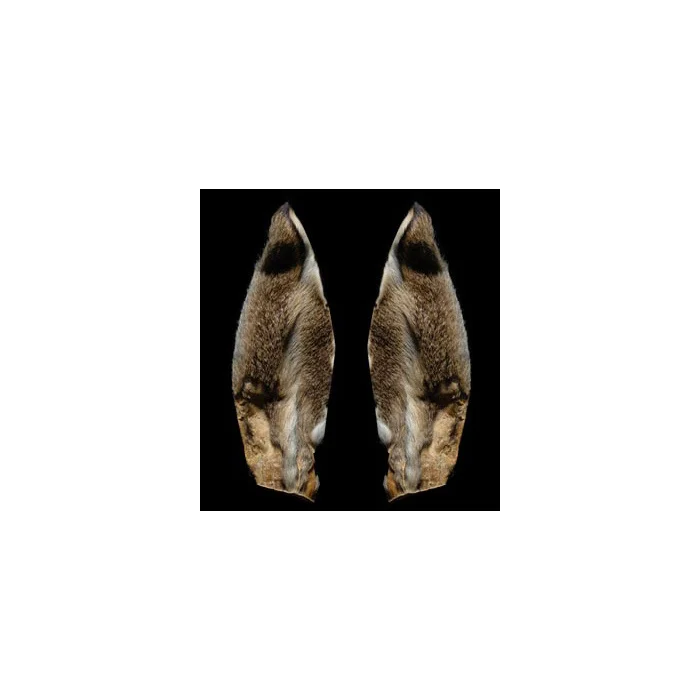 taimen-750994