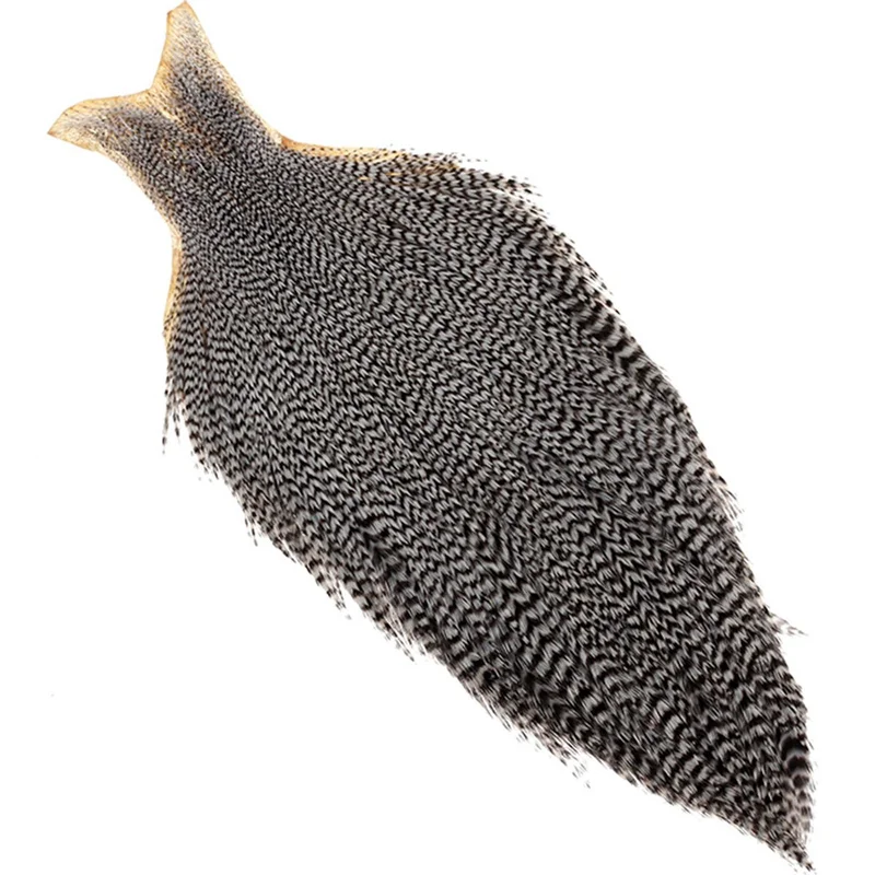taimen-751349