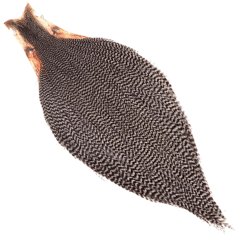taimen-752434